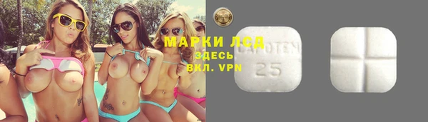 винт Арсеньев