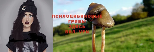 МДПВ Аркадак
